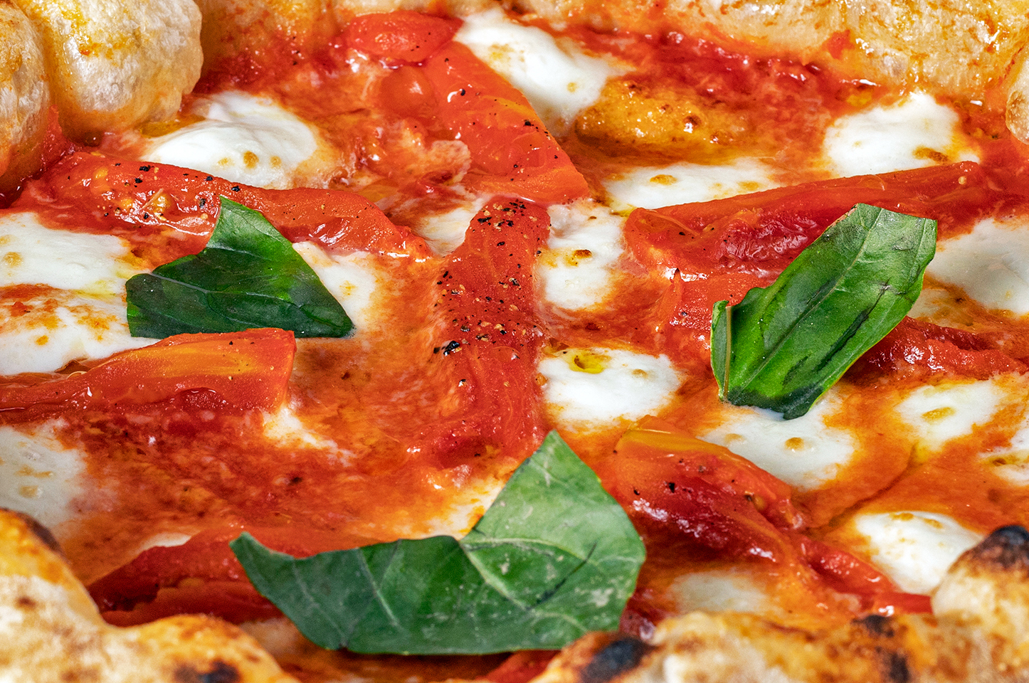 San Marzano DOP foco.jpg